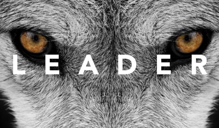 Leader | North&Co.  North&Co.